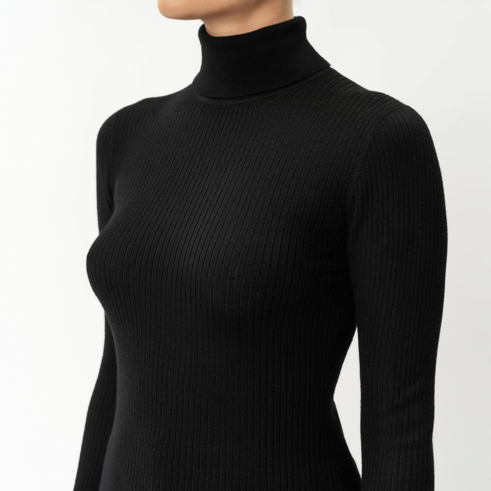 Merino Wool Ribbed Turtleneck - Ninepine